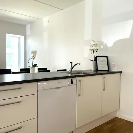 Spacious For 8 In Eternitten Apartment Aalborg